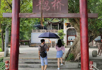 星湖湿地公园第 26 张图片