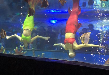镜湖湿地海洋世界第 15 张图片