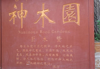 神木园第 10 张图片