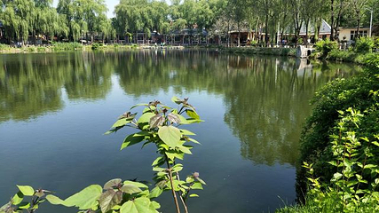老帽山风景区第 12 张图片