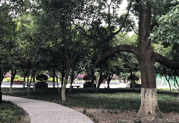 塔子山公园第 53 张图片