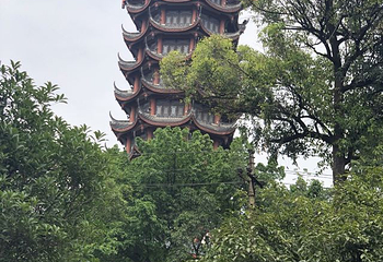 塔子山公园第 52 张图片