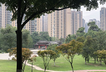 塔子山公园第 51 张图片
