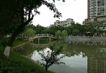 三水森林公园第 47 张图片