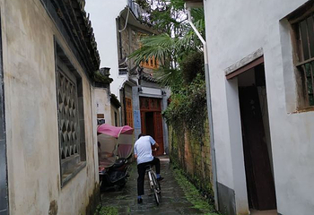 江湾景区第 67 张图片