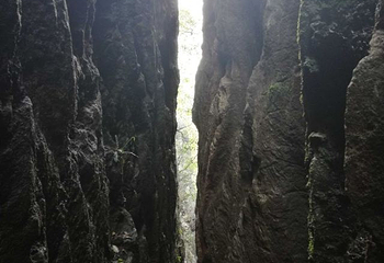 玉石林风景区第 51 张图片