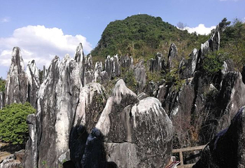 玉石林风景区第 48 张图片