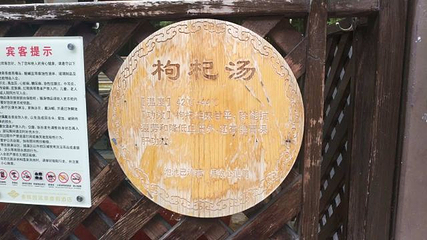 春晖园温泉会第 64 张图片