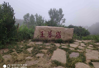 王莽岭风景区第 85 张图片