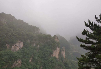 王莽岭风景区第 84 张图片