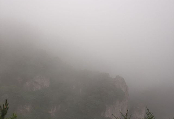 王莽岭风景区第 83 张图片