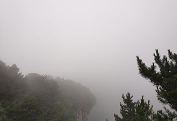 王莽岭风景区第 82 张图片
