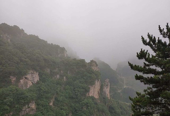 王莽岭风景区第 81 张图片