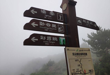 王莽岭风景区第 79 张图片