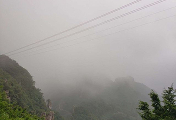 王莽岭风景区第 78 张图片