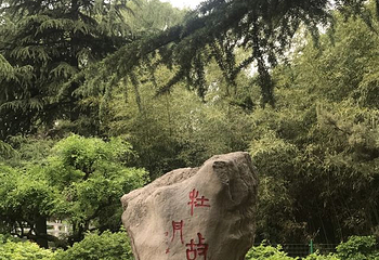 国家牡丹园第 44 张图片