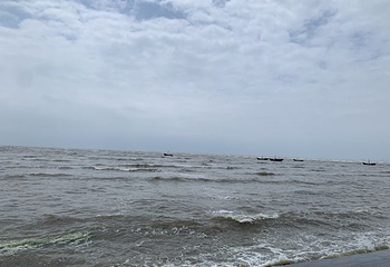 刘家湾赶海园第 53 张图片