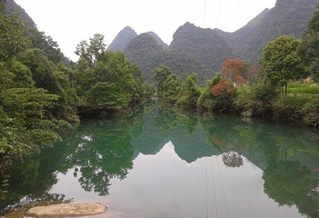 荔波茂兰自然保护区第 39 张图片
