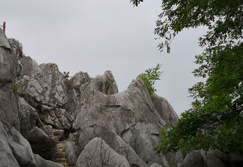 丫山花海石林第 51 张图片