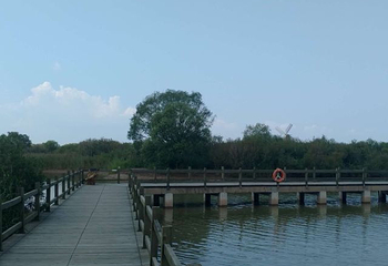 黄河口生态旅游区第 146 张图片