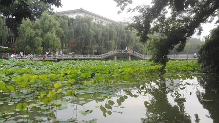 包公园第 55 张图片