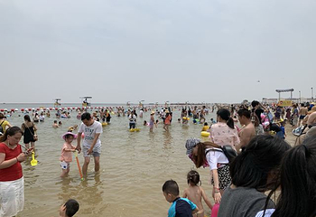 金山城市沙滩第 55 张图片