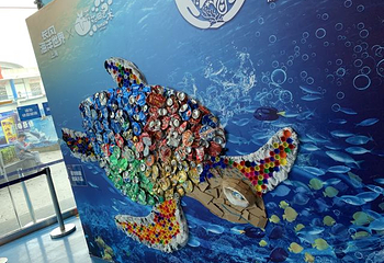 上海长风海洋世界第 80 张图片