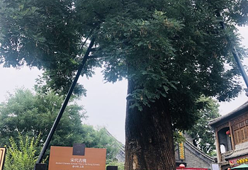 青州古城第 32 张图片