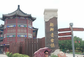杨柳青古镇第 37 张图片