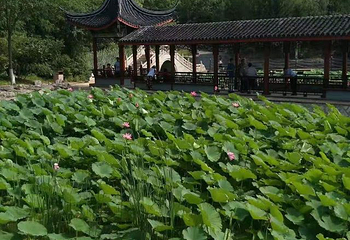 北宫国家森林公园第 35 张图片