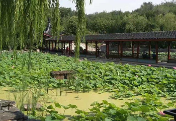 北宫国家森林公园第 34 张图片