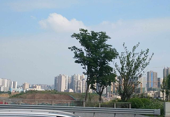 重庆统景温泉风景区第 65 张图片