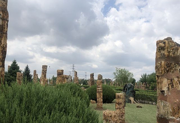 辽宁朝阳鸟化石国家地质公园第 62 张图片