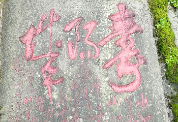 山水园第 13 张图片