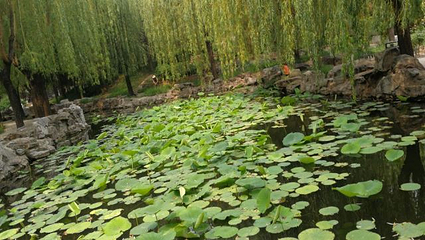 北京大观园第 64 张图片