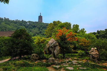 焦山第 63 张图片