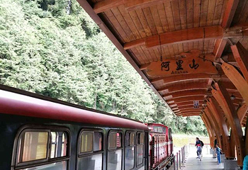 阿里山国家风景区第 68 张图片