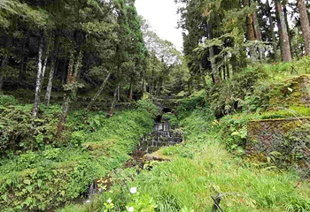 阿里山国家风景区第 73 张图片