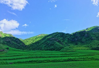 吐鲁沟国家森林公园第 14 张图片