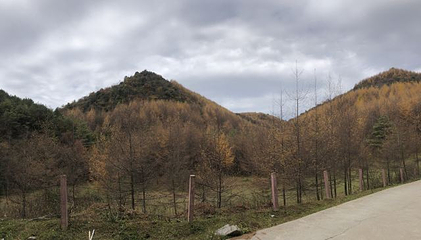 曾家山景区第 33 张图片