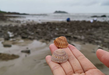 海陵岛第 69 张图片