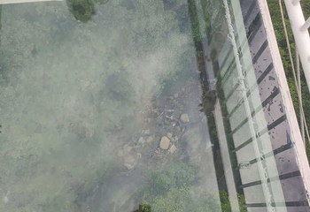 醉山野景区第 77 张图片