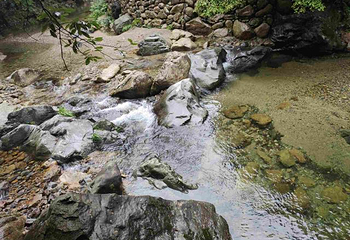 醉山野景区第 76 张图片