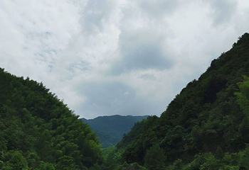 龙王山峡谷漂流第 30 张图片