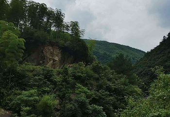 龙王山峡谷漂流第 28 张图片