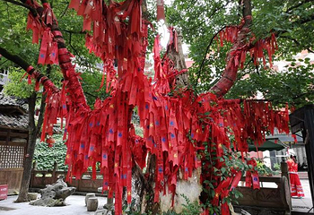 土家风情园第 45 张图片