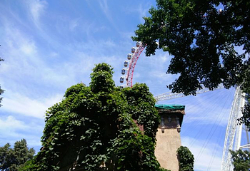 哈尔滨文化公园第 23 张图片