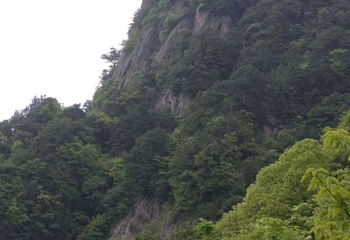 南宫山国家森林公园第 33 张图片