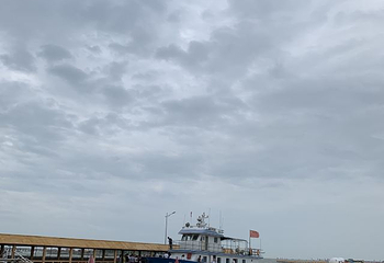 星岛·桃花岛风景区第 18 张图片
