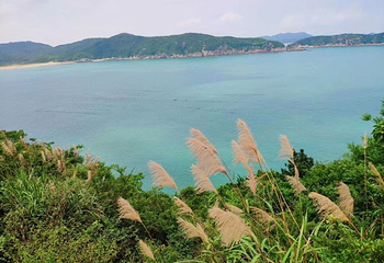 桃花岛风景区第 17 张图片